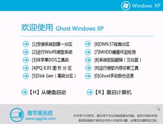 青苹果系统 Ghost XP SP3 装机版V2015.01